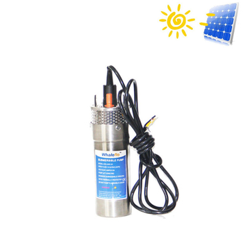 Whalelfo DC 12V 24V 12LPM Solar Powered Submersible Water Pump System